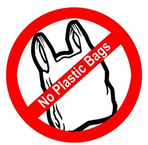 6. no-plastic-bags