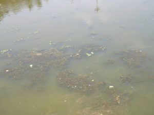 kottitirtha-